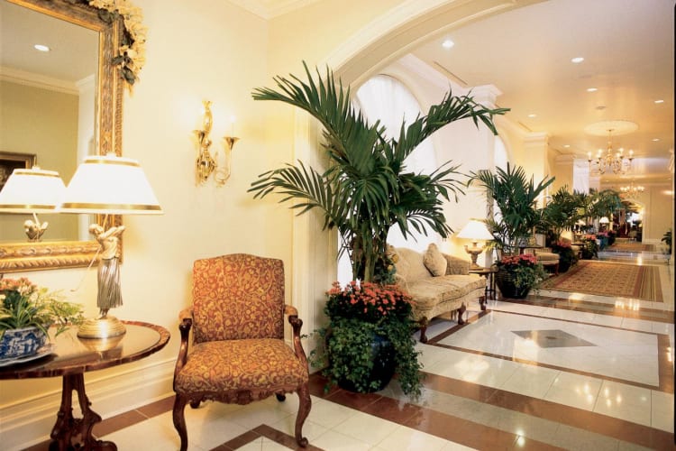 Hotel gallery